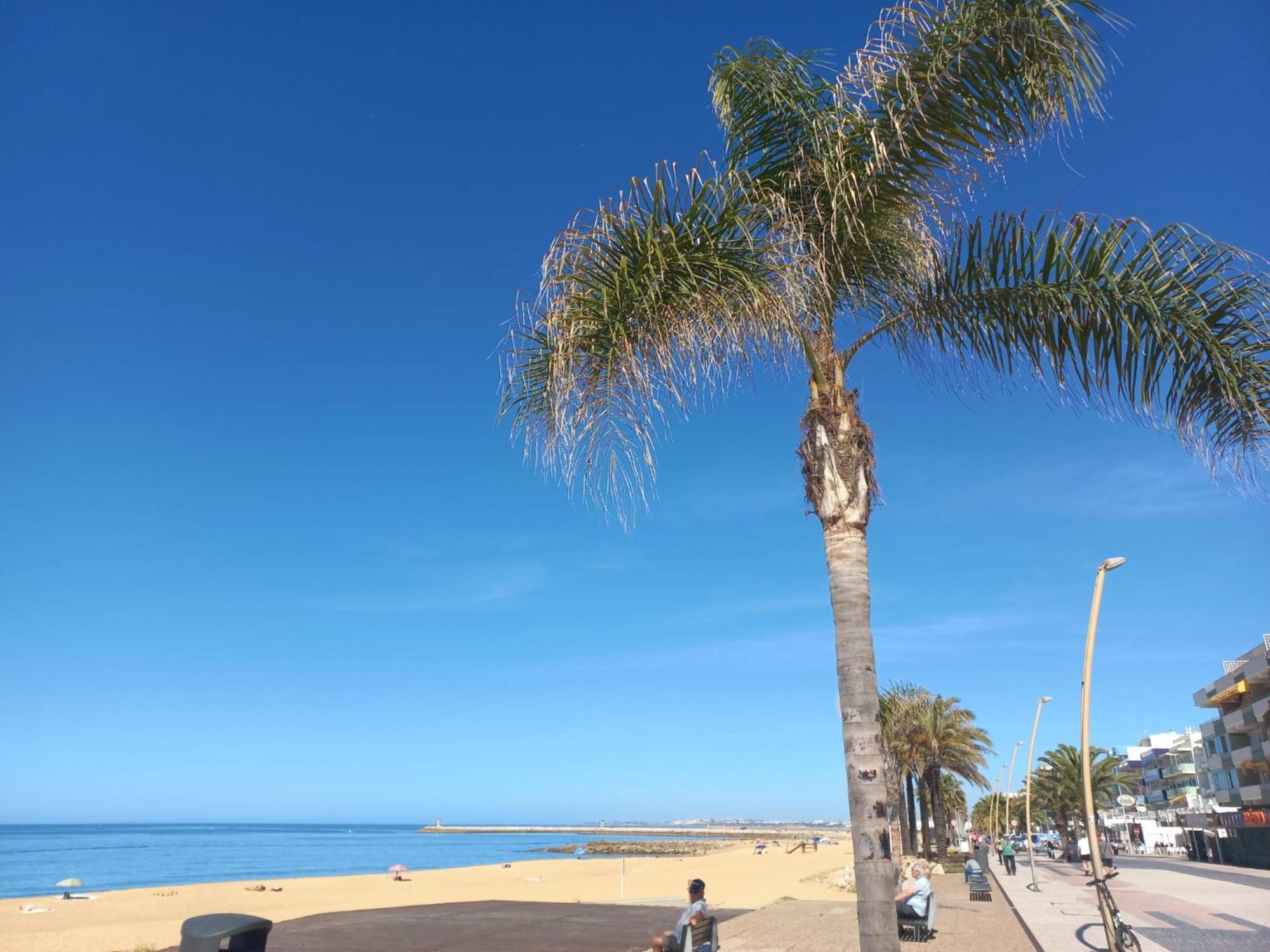 Mare Viva Beach Apartment 奎特里拉 外观 照片